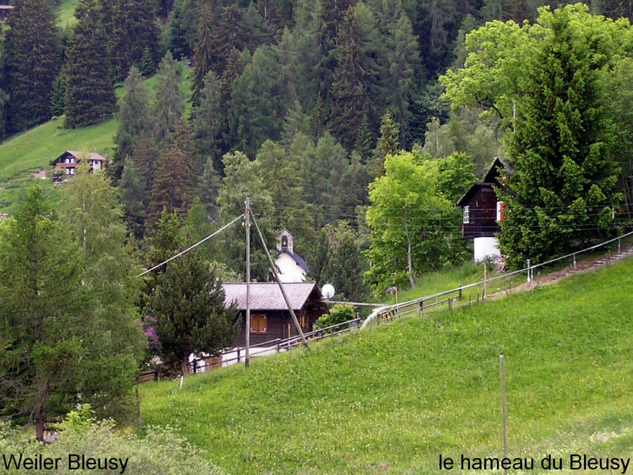 Hameau du Bleusy