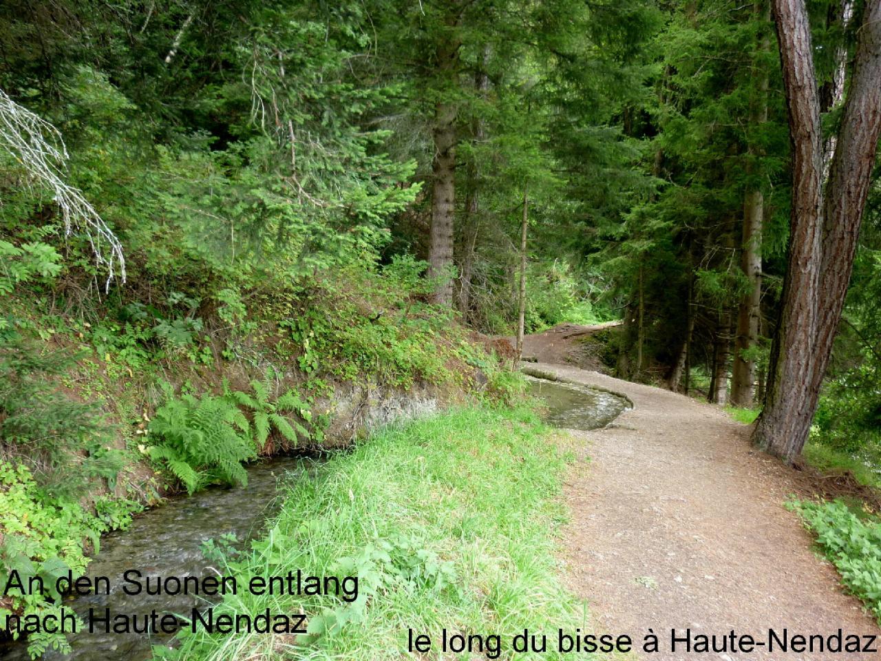 Chemin à Haute-Nendaz (Bisse du Milieu)