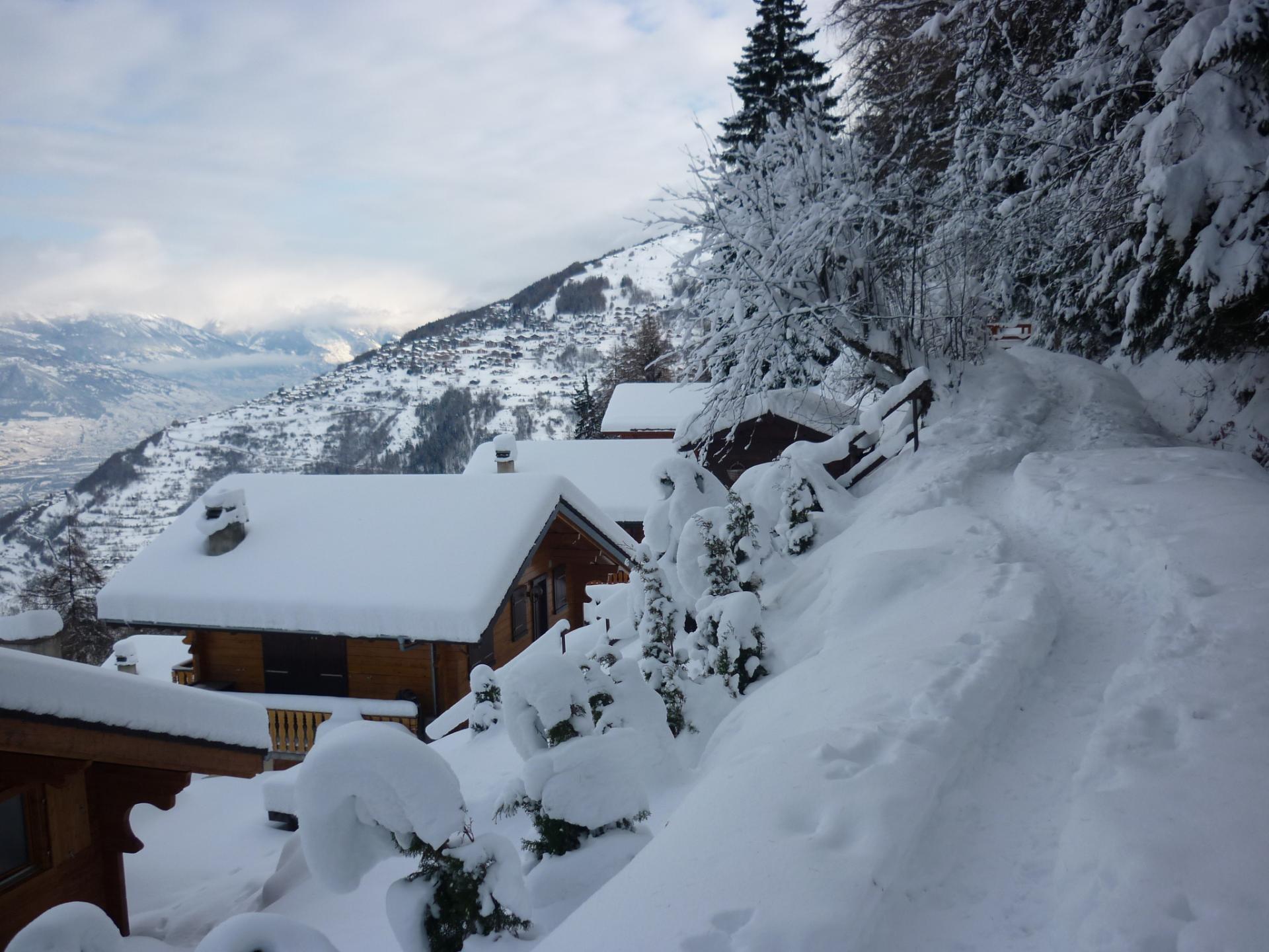 Bissedumilieu hiver