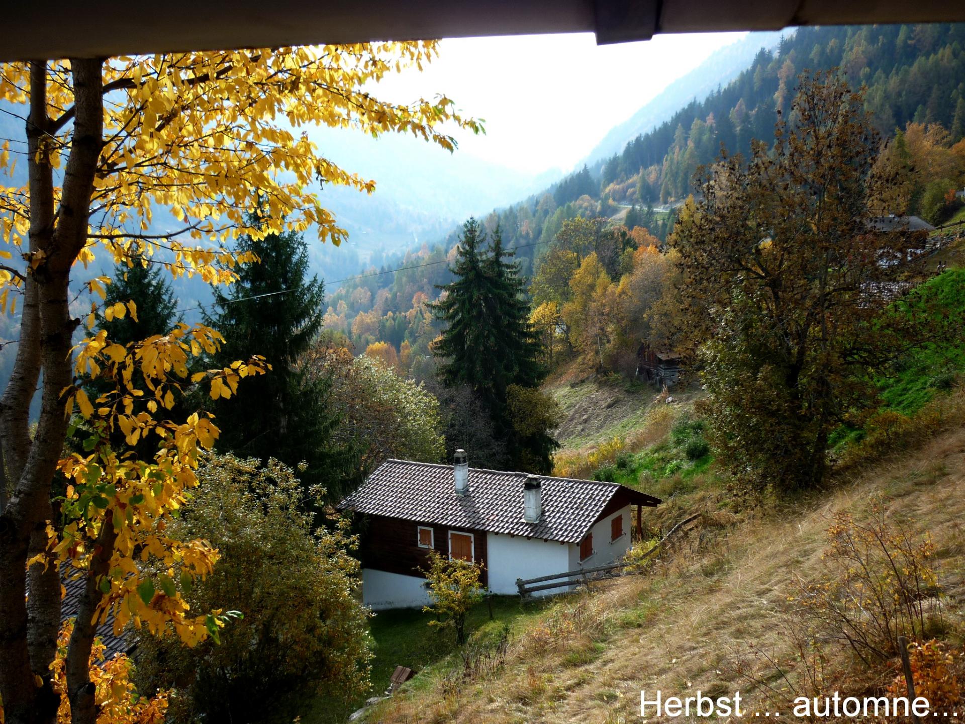 Bleusy automne