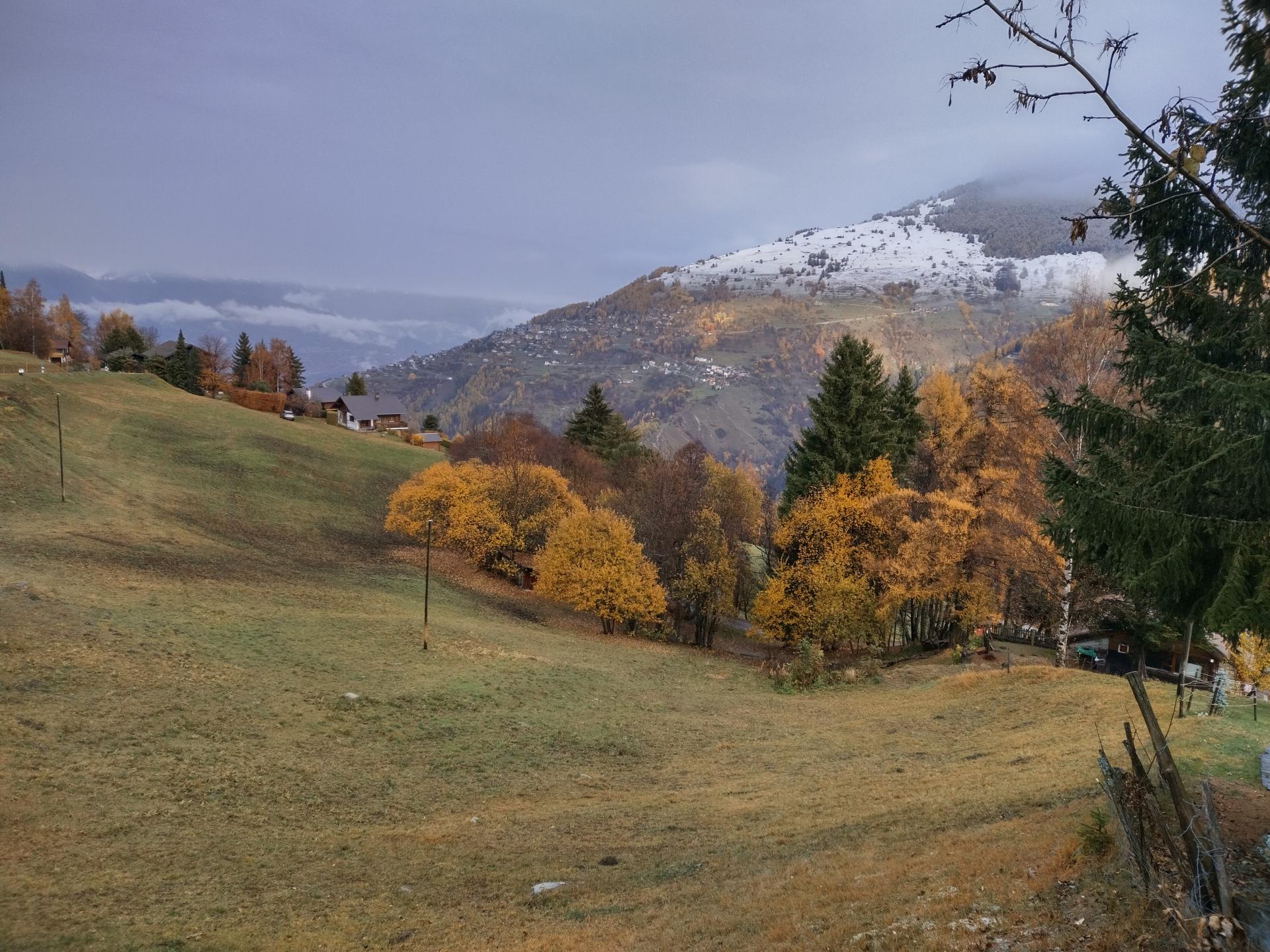 Img 20221114 151718 hdr
